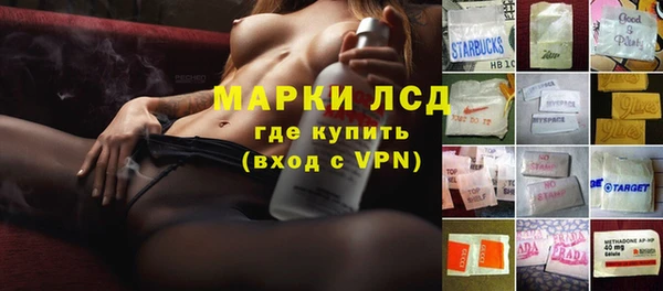 гашик Мегион