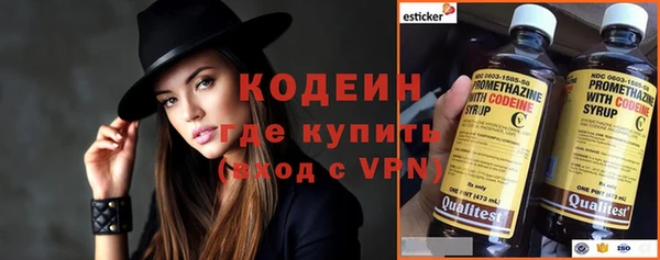 гашик Мегион