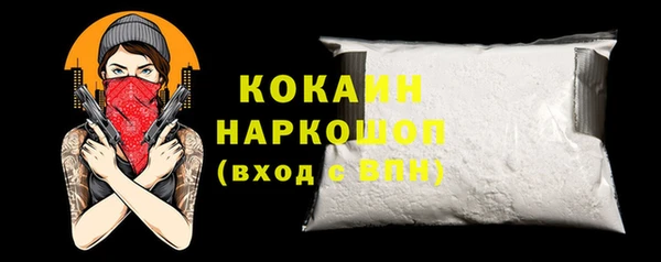гашик Мегион