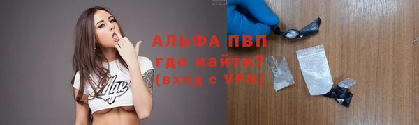 гашик Мегион
