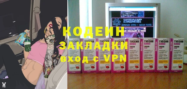 гашик Мегион