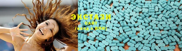 гашик Мегион