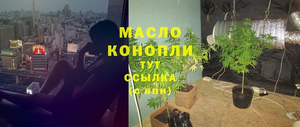 гашик Мегион