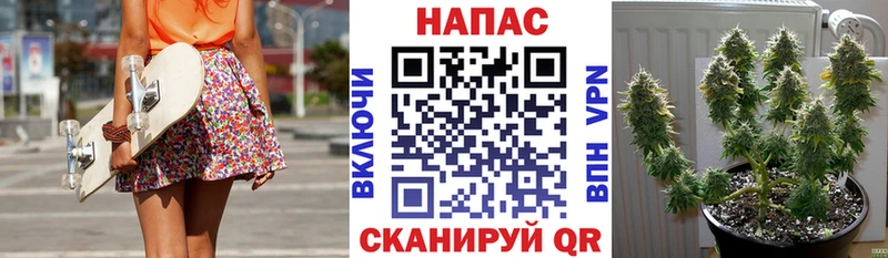 наркота  Новотитаровская  МАРИХУАНА план 
